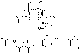 雷帕霉素Rapamycin (Sirolimus) 53123-88-9