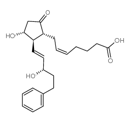 17-苯基-18,19,20-三去甲前列腺素 E2 38315-43-4