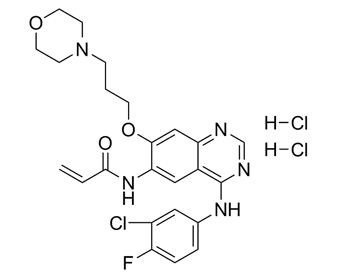 卡纽替尼二盐酸盐 289499-45-2