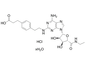 CGS-21680 HCl 124182-57-6