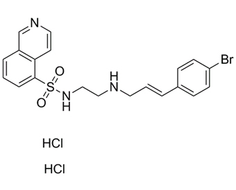 H-89二盐酸盐 130964-39-5