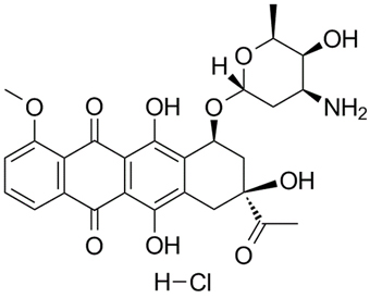 盐酸柔红霉素 Daunorubicin Hydrochloride 23541-50-6 