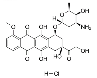 盐酸阿霉素 Doxorubicin HCl 25316-40-9