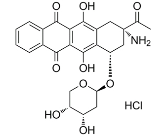 盐酸氨柔比星 Amrubicin HCl 110311-30-3