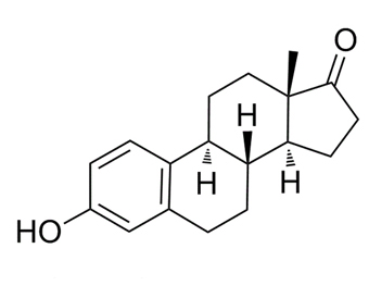 雌酚酮 Estrone 53-16-7
