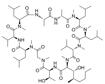 二氢环孢素 C 63556-15-0