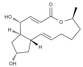 布雷非德菌素 A 20350-15-6