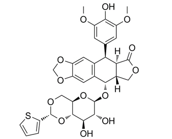 替尼泊苷 Teniposide  29767-20-2