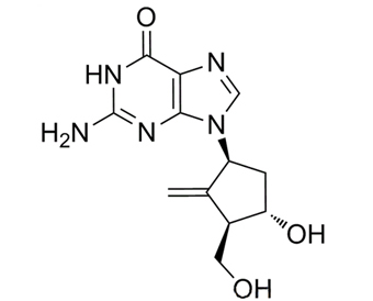恩替卡韦 Entecavir 142217-69-4