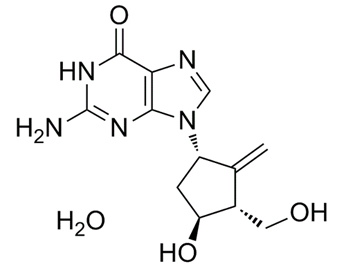 恩替卡韦水合物 Entecavir monohydrate 209216-23-9
