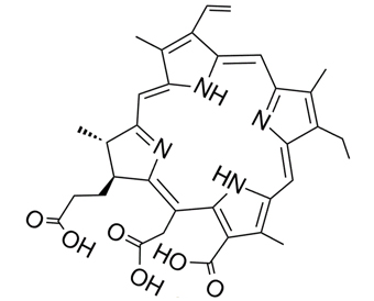 二氢卟吩 E6 19660-77-6