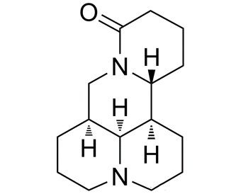 苦参碱 Matrine 519-02-8