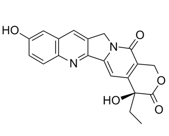 10-羟基喜树碱 10-Hydroxycamptothecin 19685-09-7