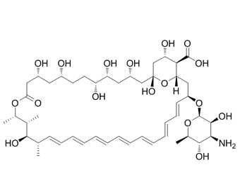 两性霉素 B Amphotericin B  1397-89-3