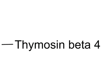 胸腺素 beta 4 Thymosin β4 77591-33-4