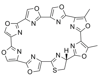 Telomestatin 265114-54-3