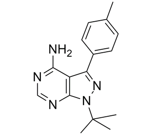 蛋白磷酸酯酶-1(抗原) PP1 172889-26-8