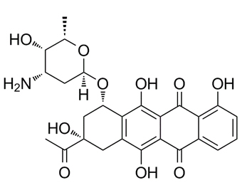 卡米诺霉素 carubicin 50935-04-1