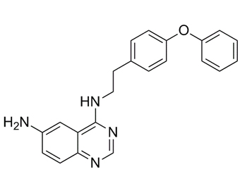 QNZ EVP4593 545380-34-5