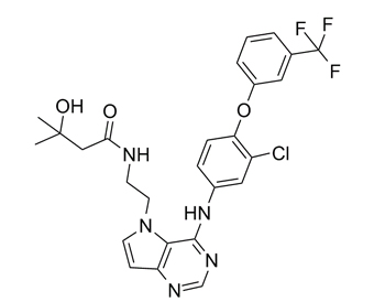 TAK-285 871026-44-7