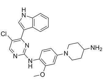 IWP-2 IWP-2