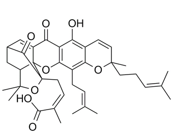 藤黄酸 Gambogic Acid 2752-65-0