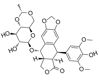 依托泊苷 Etoposide 33419-42-0