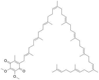 辅酶Q10 Coenzyme Q10 303-98-0