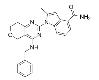 CB-5083 1542705-92-9
