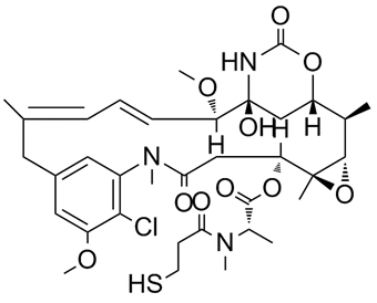 美登素 Maytansinoid DM1 139504-50-0