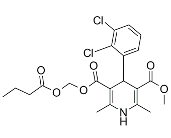 丁酸氯维地平 Clevidipine Butyrate 167221-71-8 