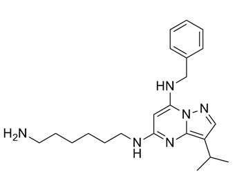 BS-181 1092443-52-1