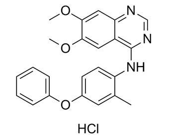 APS-2-79 hydrochloride 2002381-31-7