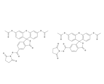 5(6)-羧基二乙酸荧光素琥珀酰亚胺酯 CFSE 150347-59-4