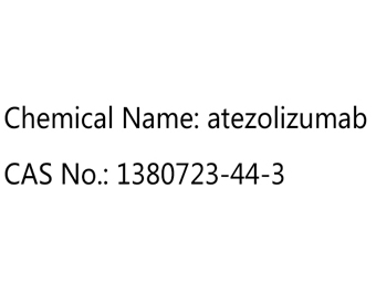 阿特珠单抗 Atezolizumab 1380723-44-3