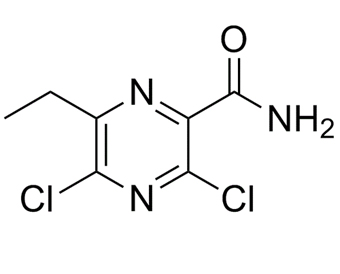 3,5-二氯-6-乙基吡嗪甲酰胺 313340-08-8