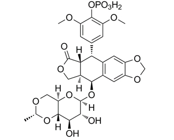 磷酸依托泊苷 Etoposide phosphate 117091-64-2