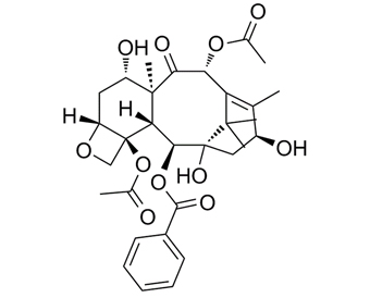 巴卡丁 III Baccatine III 27548-93-2