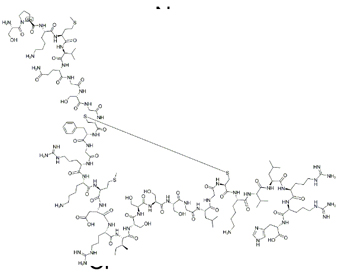 纳西利肽 Nesiritide 124584-08-3