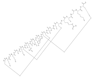 醋酸齐考诺肽 Ziconotide acetate 107452-89-1
