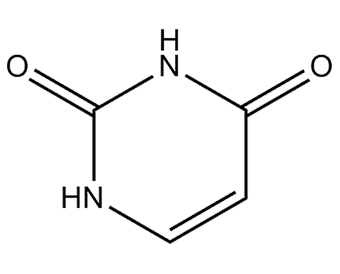 尿嘧啶 Uracil 66-22-8
